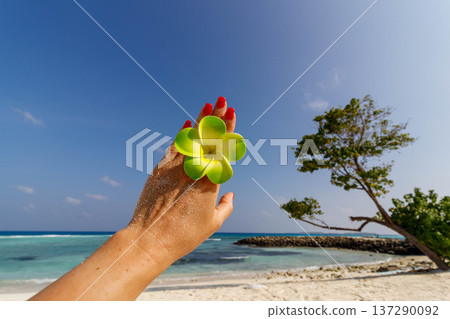 Hand holds vibrant green flower against turquoise sea Hand holds vibrant green flower against turquoise sea 137290092
