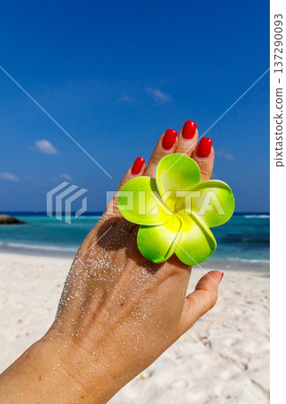Hand holds bright green flower against blue sky Hand holds bright green flower against blue sky 137290093