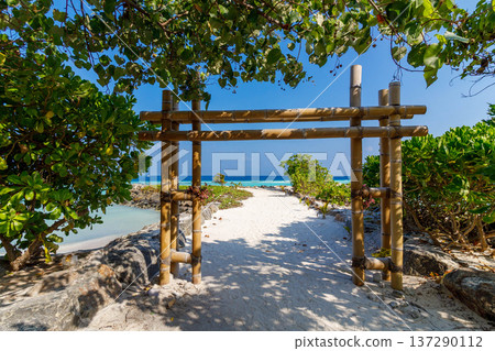 Lush green leaves frame a rustic wooden gate 137290112
