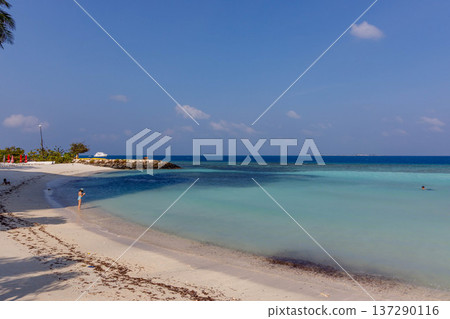 Sunlit beach with soft white sand and turquoise waters Sunlit beach with soft white sand and turquoise waters 137290116