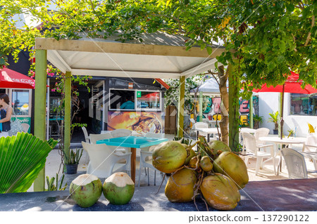 Coconuts rest on a table beneath a leafy canopy Coconuts rest on a table beneath a leafy canopy 137290122
