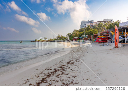 Sunlit beach with soft sand and gentle waves Sunlit beach with soft sand and gentle waves 137290128