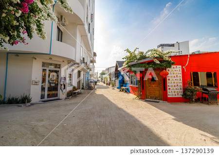 Sunlit alleyway with colorful shops and hanging flowers Sunlit alleyway with colorful shops and hanging flowers 137290139