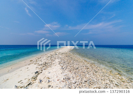 Whispering sandbar splits turquoise ocean under clear skies 137290316
