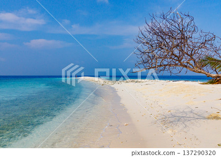 Serene beach curves under clear blue sky 137290320