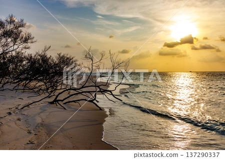 Sunset glows over calm ocean waves Sunset glows over calm ocean waves 137290337