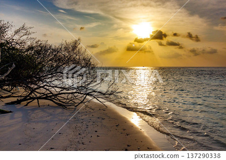 Sunset glows over calm sea, casting golden light on waves 137290338