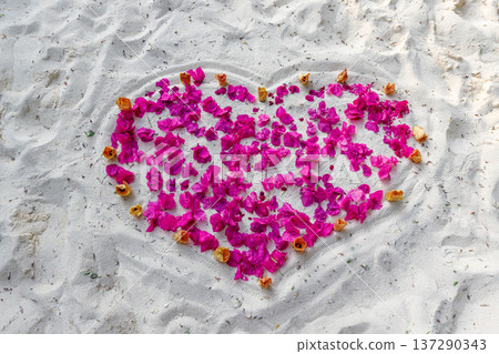 Heart shape drawn in sand with vibrant pink petals 137290343