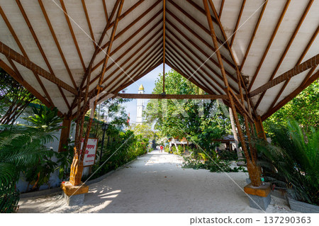 Tropical pathway under a woven bamboo roof 137290363