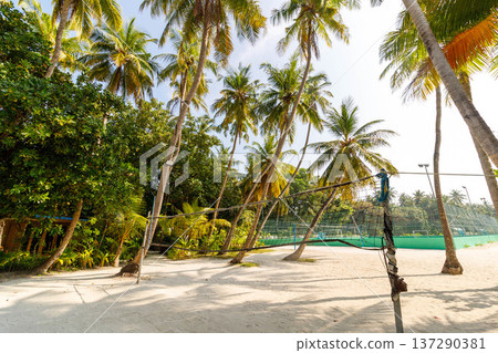 Tall palms sway gently over sandy beach Tall palms sway gently over sandy beach 137290381