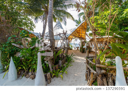 Tropical path winds through lush greenery Tropical path winds through lush greenery 137290391
