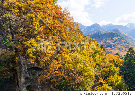 山形縣山形市的秋天－立石寺（山寺）的秋葉 137290512