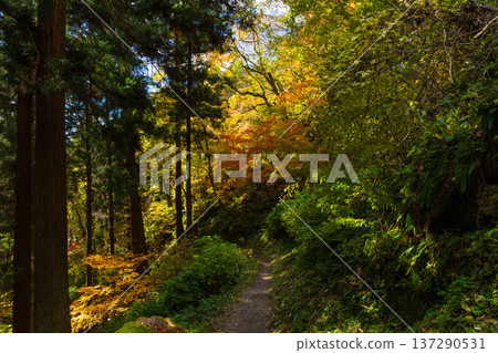 山形縣山形市的秋天－立石寺（山寺）的秋葉 137290531