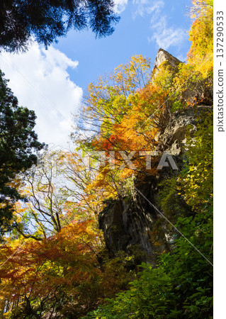 山形縣山形市的秋天－立石寺（山寺）的秋葉 137290533