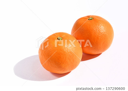 Citrus fruits (Asumi) 137290600