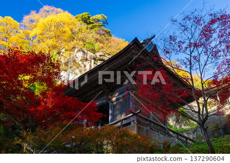 山形縣山形市的秋景-山寺(立石寺)的秋葉-仁王門 山形縣山形市的秋景-山寺(立石寺)的秋葉-仁王門 137290604