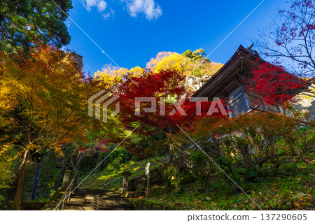 山形縣山形市的秋景-山寺(立石寺)的秋葉-仁王門 山形縣山形市的秋景-山寺(立石寺)的秋葉-仁王門 137290605