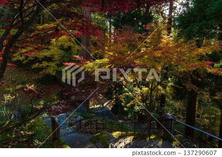 山形縣山形市的秋天－通往立石寺（山寺）路上的秋葉 137290607