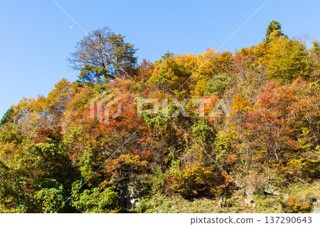 Autumn in Yamagata City, Yamagata Prefecture - Autumn leaves at Risshakuji Temple (Yamadera) Autumn in Yamagata City, Yamagata Prefecture - Autumn leaves at Risshakuji Temple (Yamadera) 137290643
