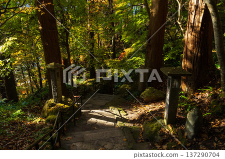 山形縣山形市的秋天－通往立石寺（山寺）路上的秋葉 137290704