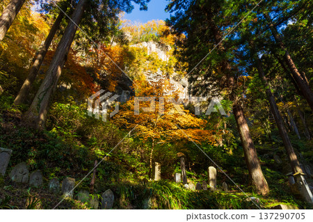 山形縣山形市的秋天－立石寺（山寺）的秋葉 137290705