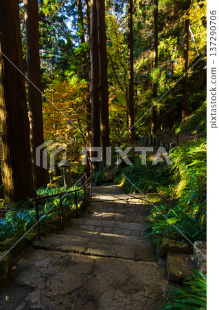 山形縣山形市的秋天－通往立石寺（山寺）路上的秋葉 137290706
