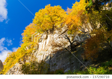Autumn in Yamagata City, Yamagata Prefecture - Autumn leaves at Risshakuji Temple (Yamadera) 137290710