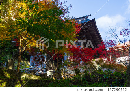 山形縣山形市的秋景-山寺(立石寺)的秋葉-仁王門 山形縣山形市的秋景-山寺(立石寺)的秋葉-仁王門 137290712