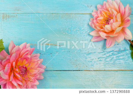 summer background. dahlias and a canvas on a blue wooden background. art. space for a text summer background. dahlias and a canvas on a blue wooden background. art. space for a text 137290888