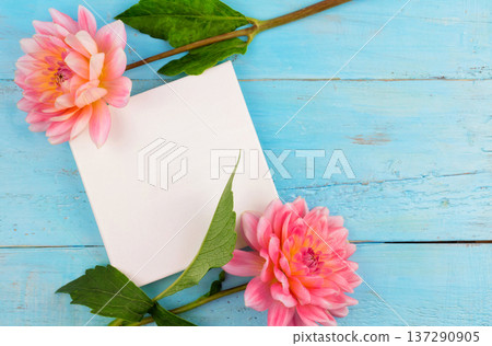 summer background. dahlias and a canvas on a blue wooden background. art. space for a text 137290905