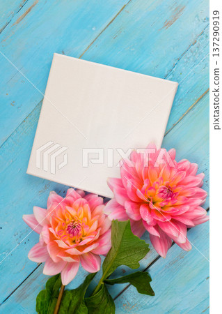 summer background. dahlias and a canvas on a blue wooden background. art. space for a text 137290919