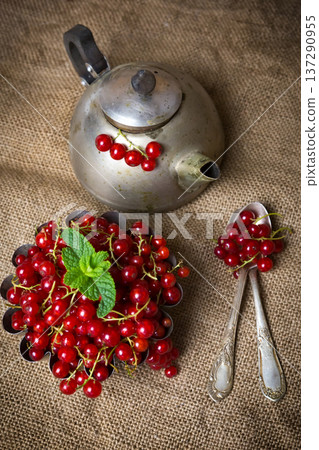 juicy currant berries on burlap near an old teapot juicy currant berries on burlap near an old teapot 137290955