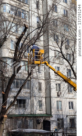 Tree Care Specialist Performs Pruning Duties From Aerial Lift Near Apartment Building During Winter Daytime Tree Care Specialist Performs Pruning Duties From Aerial Lift Near Apartment Building During Winter Daytime 137291244