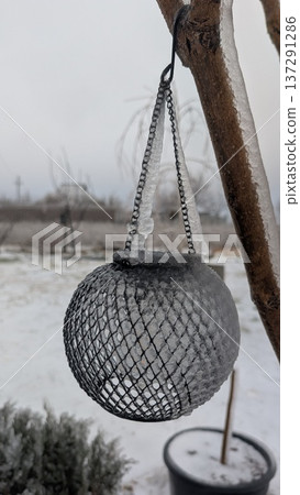Icecovered Glass Lantern Hanging Outdoors. Seasonal Winter Scene With Rustic Lighting And Textures 137291286