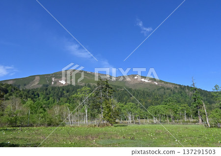 View of Mt. Shibutsu from Ozegahara View of Mt. Shibutsu from Ozegahara 137291503