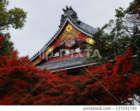 Ichihatayama Yakushiji秋葉 Ichihatayama Yakushiji秋葉 137291740