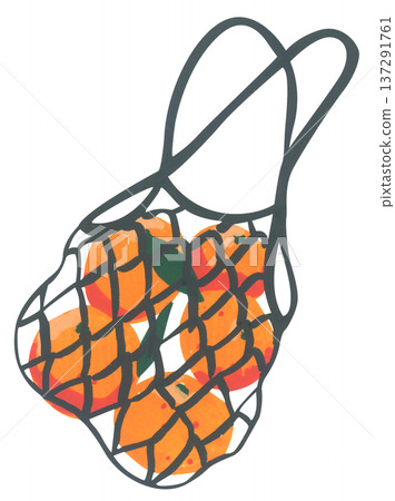 Hand Drawn Mesh Bag with Oranges Illustration Hand Drawn Mesh Bag with Oranges Illustration 137291761