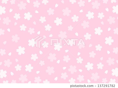 Background cherry blossom pattern pink Background cherry blossom pattern pink 137291782