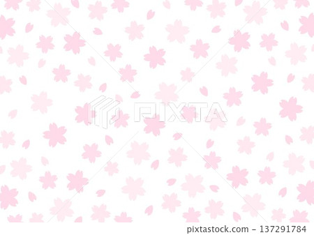 Background: Cherry blossom pattern on white background Background: Cherry blossom pattern on white background 137291784