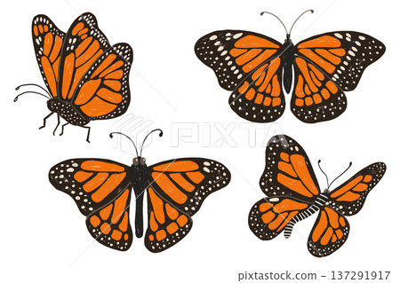 Monarch butterfly set in childlike hand drawn wildlife illustration style Monarch butterfly set in childlike hand drawn wildlife illustration style 137291917
