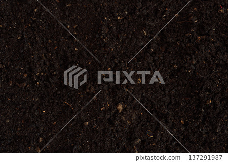 Dark potting soil texture background, gardening and planting concept Dark potting soil texture background, gardening and planting concept 137291987