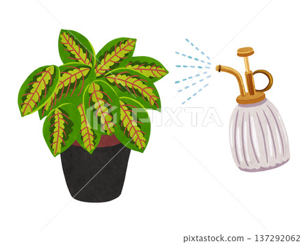 Mist spray and potted maranta - watercolor hand-drawn illustration Mist spray and potted maranta - watercolor hand-drawn illustration 137292062