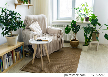 Cozy reading nook with armchair, plants, and natural light in minimalist interior Cozy reading nook with armchair, plants, and natural light in minimalist interior 137292265
