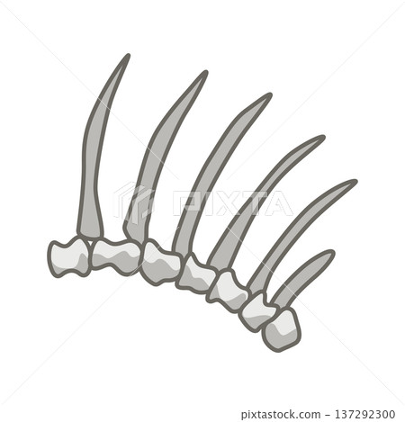Dinosaurs skeletons parts underground. Fossils, bones of prehistoric reptiles and ammonites 137292300