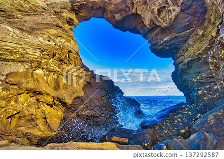 馬的後門 137292587