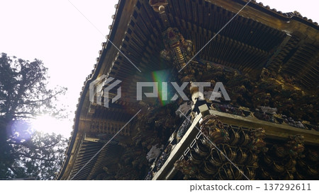 Nikko Toshogu 137292611
