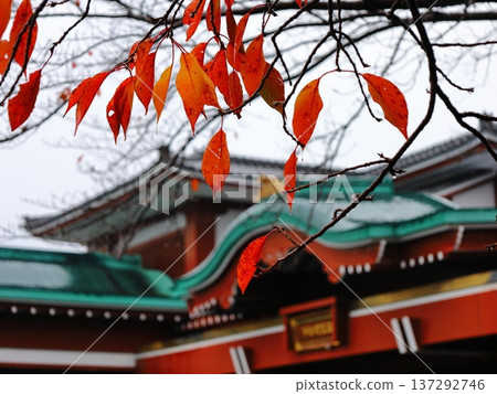 Ichihatayama Yakushiji秋葉 Ichihatayama Yakushiji秋葉 137292746