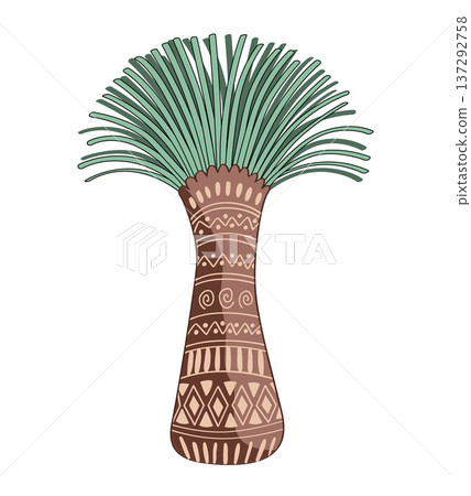 Xanthorrhoea tree vector isolated illustration in tribal patterned style. The Grass tree, native Australian endemic flora element. 137292758