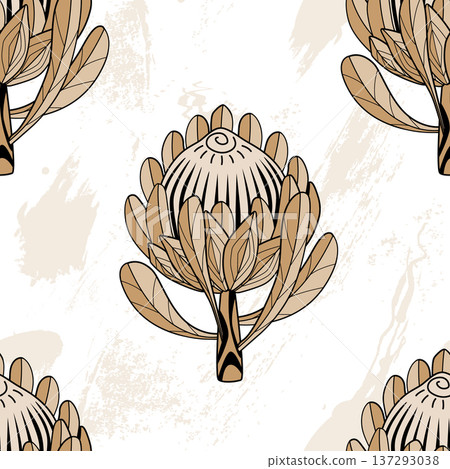 Hand drawn Protea flower graphic seamless pattern. Protea line drawing tribal style background. Vector illustration Hand drawn Protea flower graphic seamless pattern. Protea line drawing tribal style background. Vector illustration 137293038