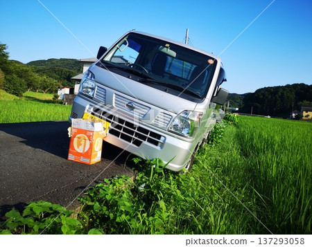 A light truck falls into a rice field after passing another on a narrow road A light truck falls into a rice field after passing another on a narrow road 137293058